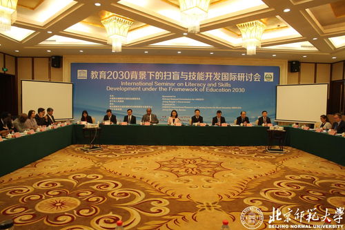 教育2030背景下的掃盲與技能開發(fā)國際研討會(huì) 技術(shù)開發(fā)的創(chuàng)新路徑