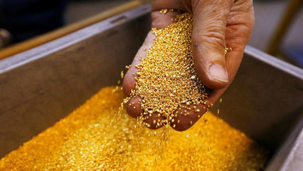 能拉“黃金屎”的細菌 科學奇觀還是商業泡沫？